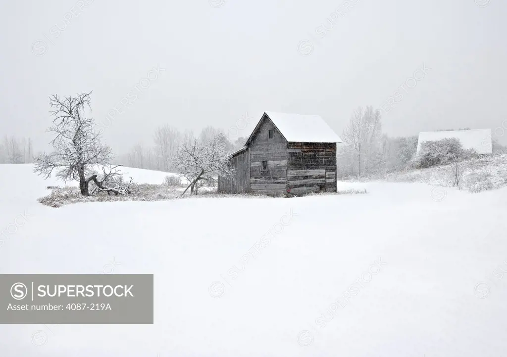 Farmhouses in winter, Leelanau Peninsula, Michigan, USA