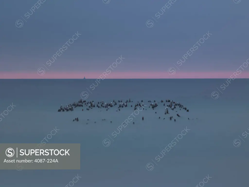 Birds in a lake, Glen Haven, Glen Arbor Township, Michigan, USA