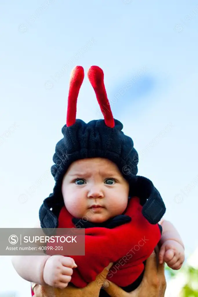 Close-up of a baby dressed as ladybug for Halloween