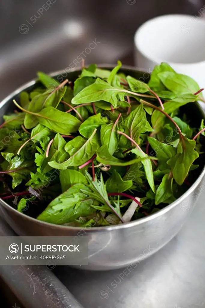 Fresh organic salad greens in bowl, high angle view