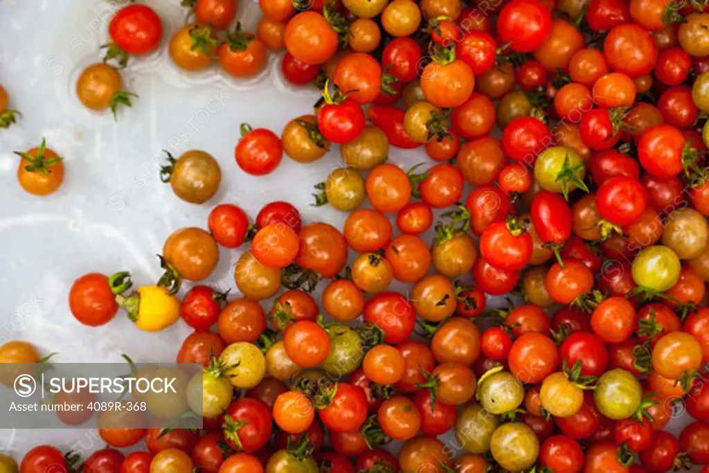 Cherry tomatoes, high angle view