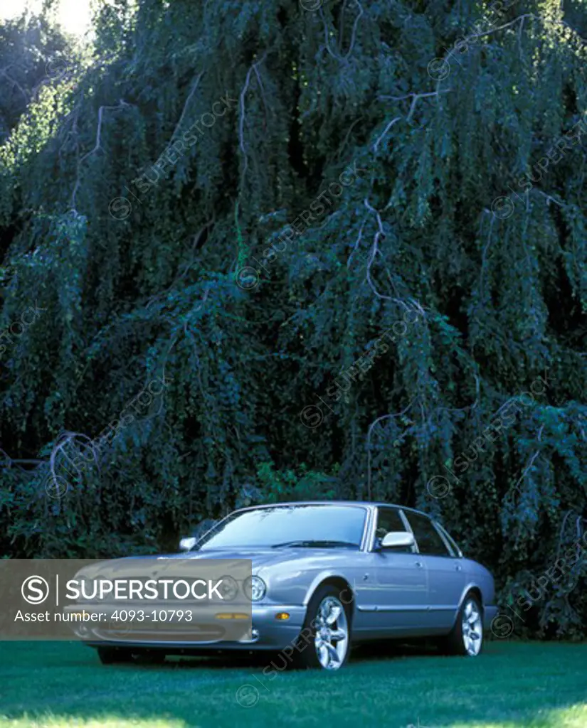 Jaguar XJR 2000 silver trees shade