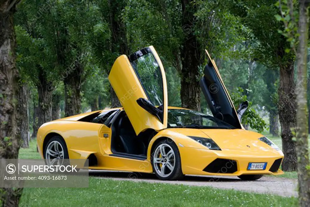 2007 Lamborghini Murcielago LP640 Roadster  features a 6.5 L engine, now producing 640 bhp, improving performance substantially. Like the base Murciélago, the engine is mounted backwards, with the transmission in front of the engine and the differential behind it, instead of a transaxle normally seen on mid-engine cars. There were also a few minor external changes, primarily to the low air intakes. in the woods forest trees in the background