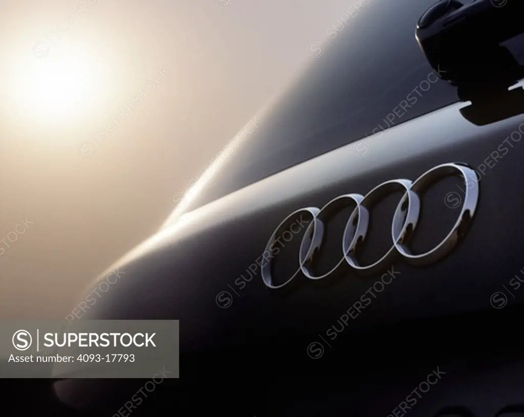 low angle detail Audi A4 Avant 1.8T grey hazy sun hatch rings 2002