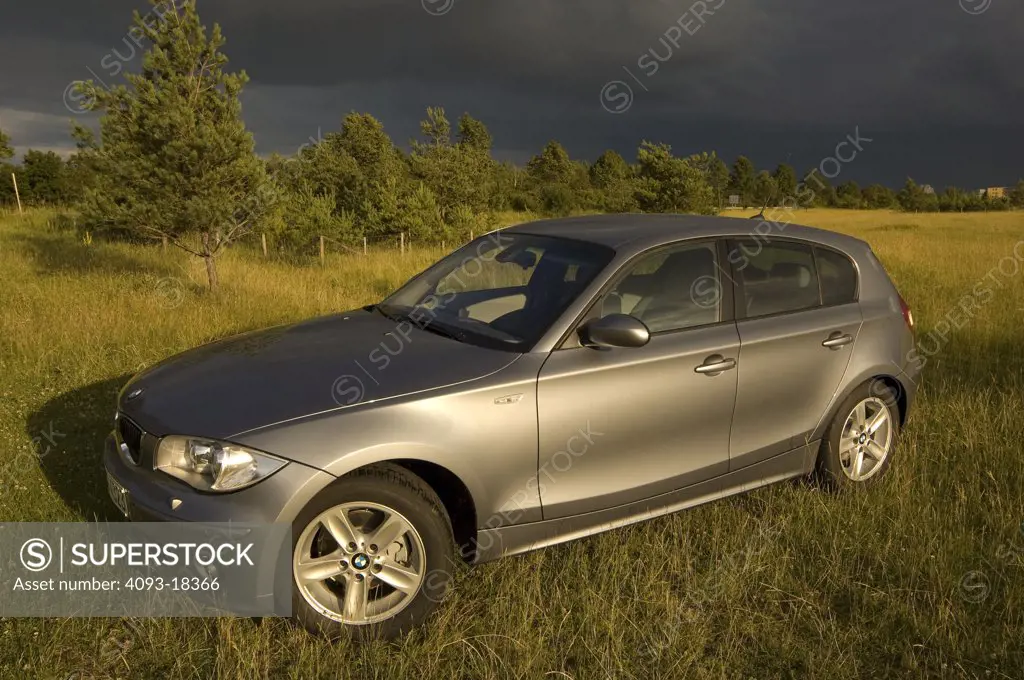 2005 BMW 116i ( 1-series ). on grass overgrown plants in an open field stormy cloudy skies