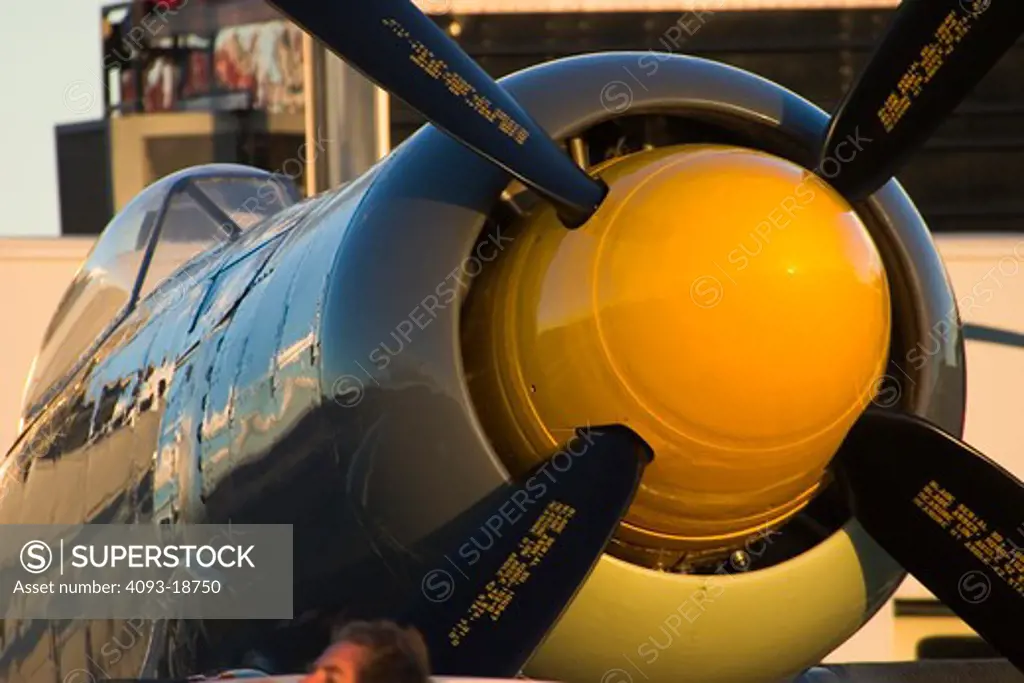 Detail view showing the engine of a Hawker Sea Fury. The Sea Fury was a British fighter aircraft developed for the Fleet Air Arm by Hawker during the Second World War. The last propeller-driven fighter to serve the Royal Navy, it was also one of the fastest production single piston-engined aircraft ever built.