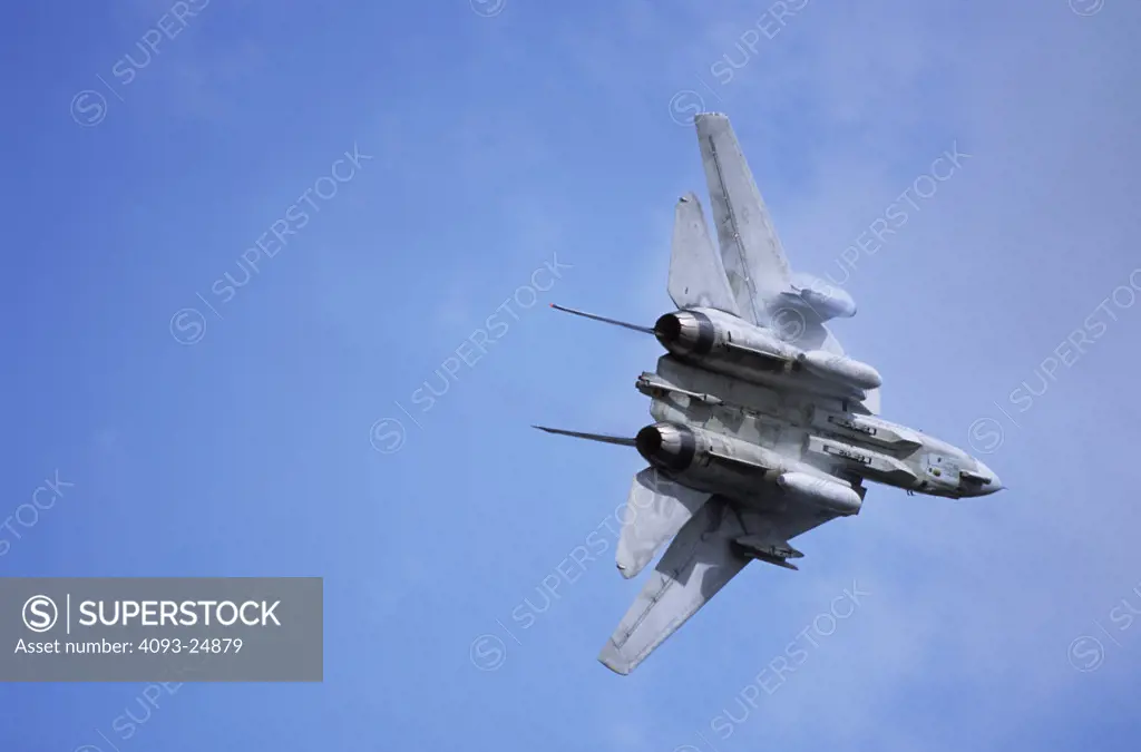 US Navy Grumman F-14D Tomcat of the Tomcat Demonstration team and VF-101 Grim Reapers training squadron.3,