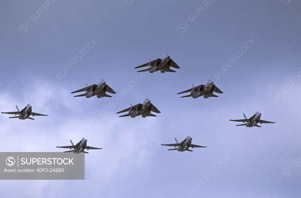 US Navy Fleet flyby at Oceana Naval Air Station  VA  2003. Four Grumman F-14 Tomcats lead the formation  flanked by four Boeing F/A-18 Hornets.
