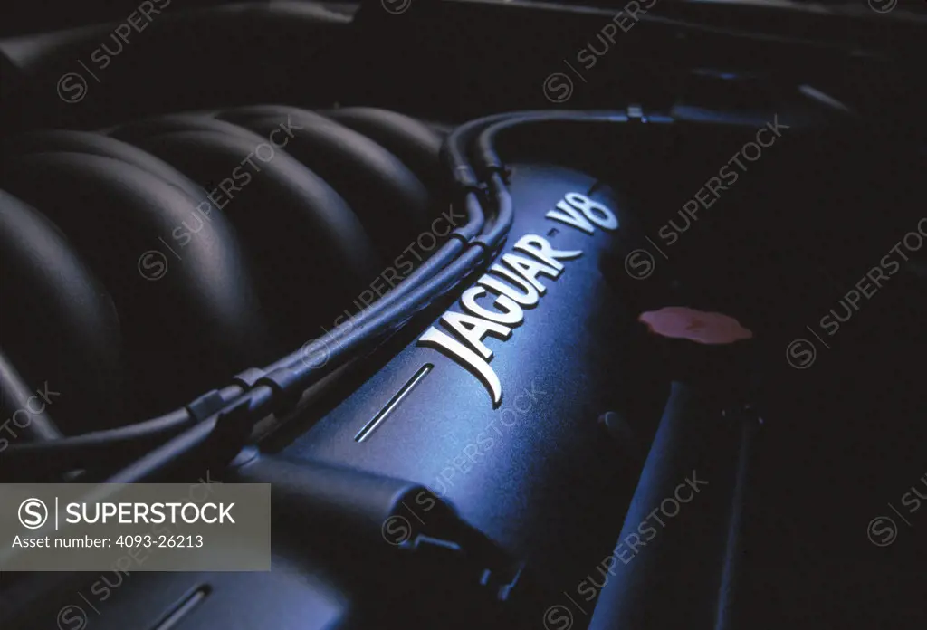 Jaguar valve cover hoses intake manifold black