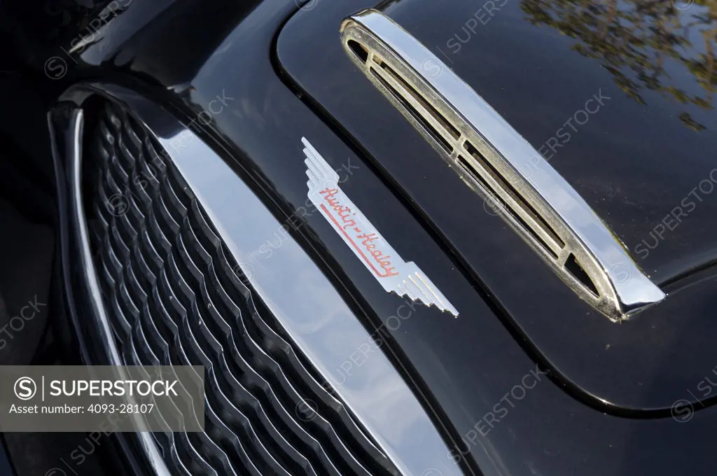 A close up detail shot of a 1959 Austin Healey 3000 hood and grill
