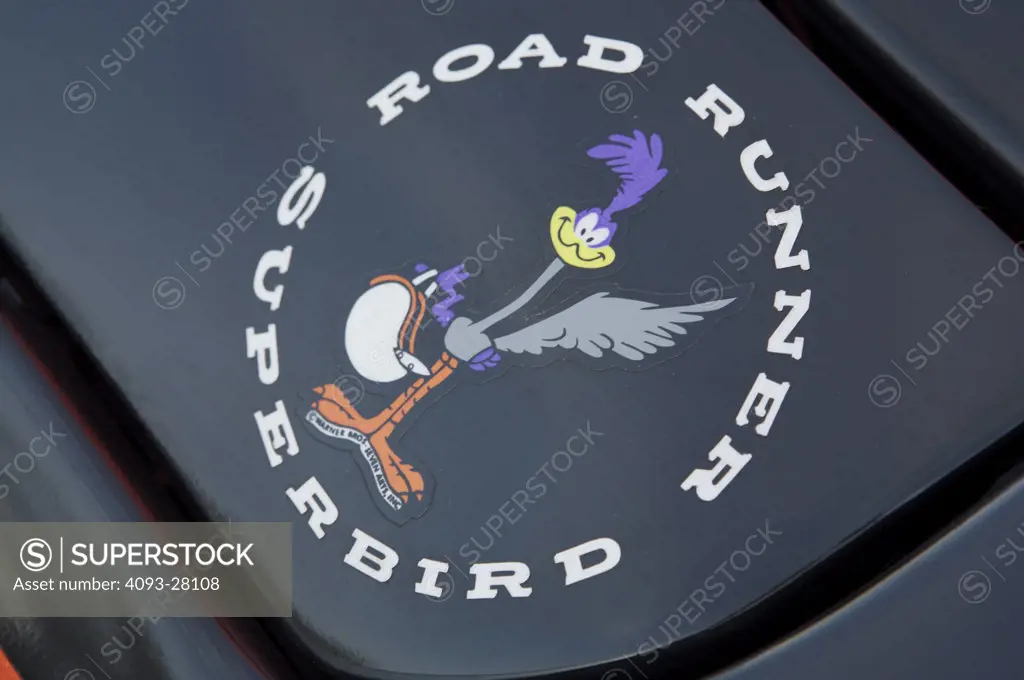 A close up detail shot 1970 Plymouth Roadrunner Runner Super Bird