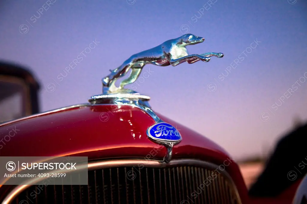 1930's Ford greyhound hood ornament, close-up