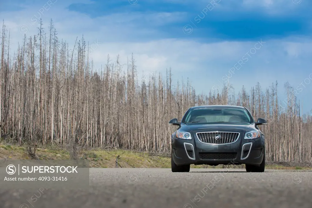 Straight on front view of a 2012 Buick Regal parked in a deserted forest in wintertime.