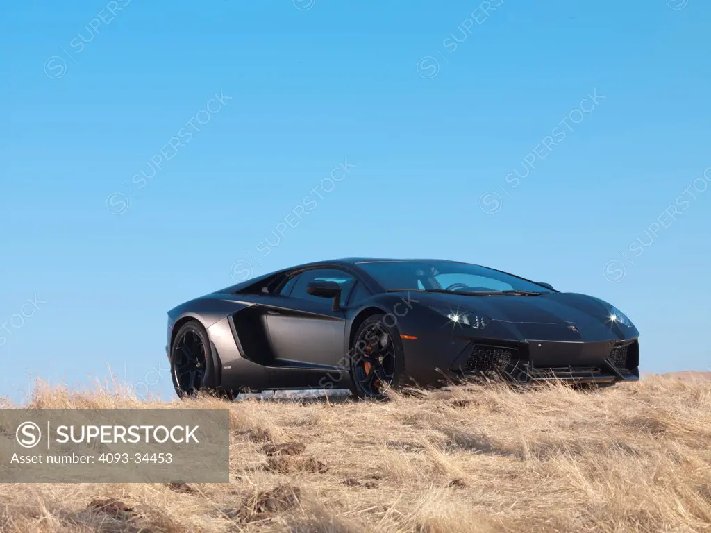 Front 3/4 static view of a satin black 2012 Lamborghini Aventador in a rural field.