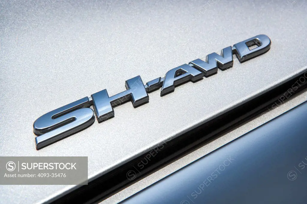 2010 Acura TL SH-AWD close-up on emblem