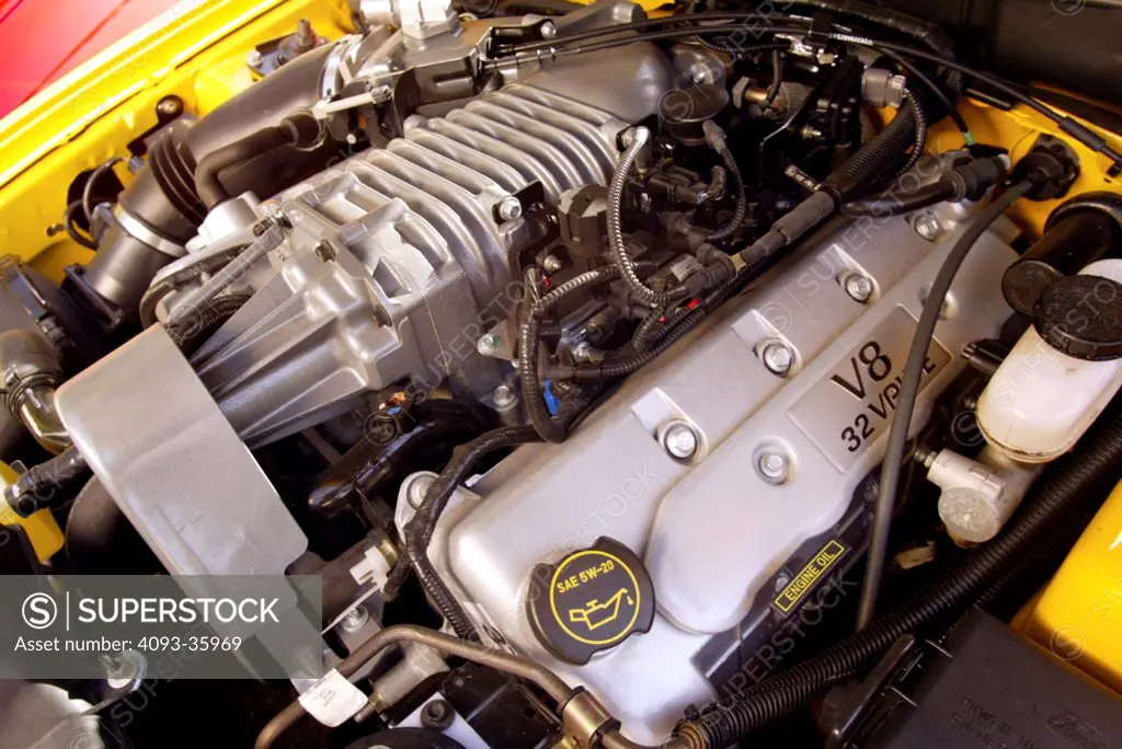 2004 Ford Mustang SVT Cobra showing the 32 valve V8 engine with supercharger