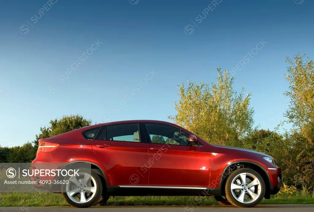 2010 BMW X6 parked in countryside, side view