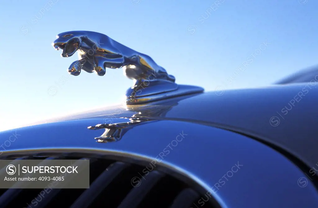 detail Jaguar S-Type 2001 hood ornament