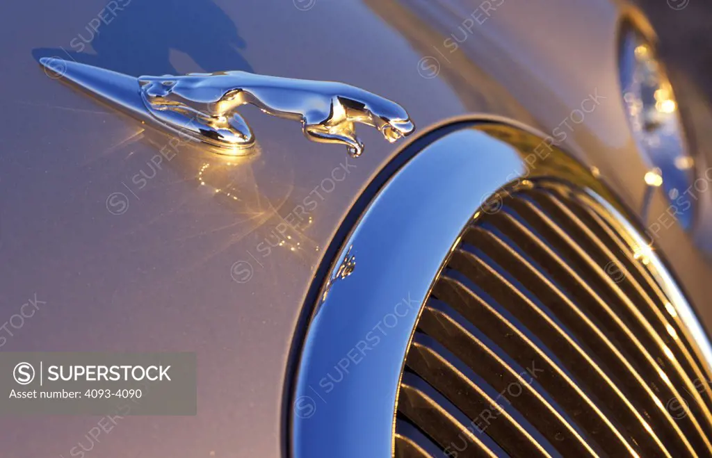 overhead detail Jaguar S-Type 2001 gold hood ornament grille grill nose