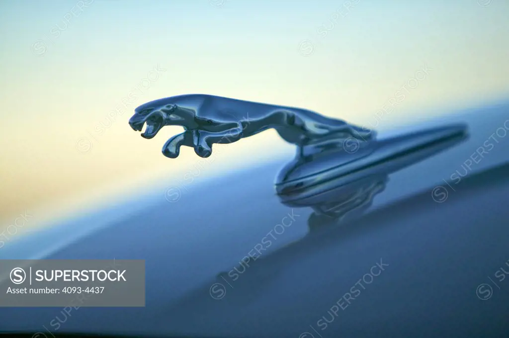 detail Jaguar X-Type 2005 silver hood ornament