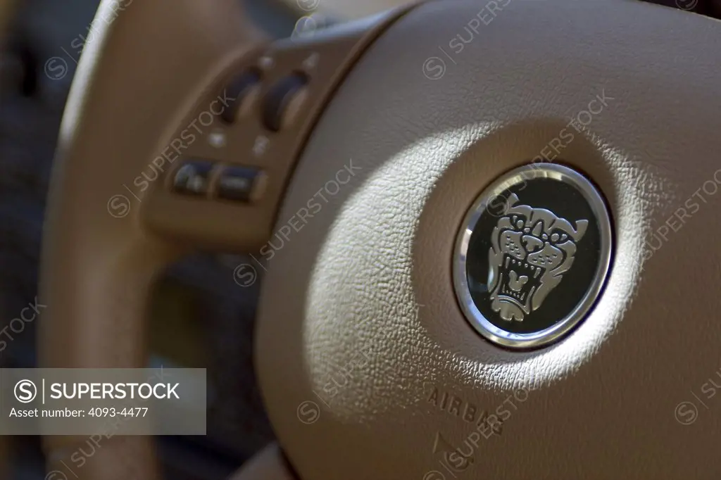 interior detail Jaguar X-Type 2005 steering wheel tan buttons