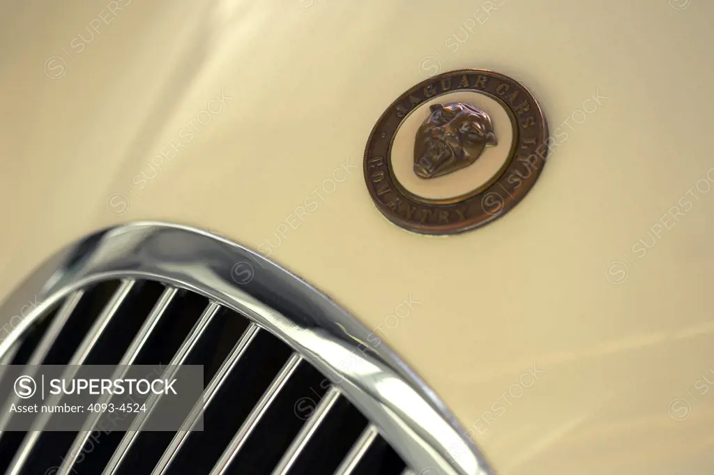 detail Jaguar XK120 white grille