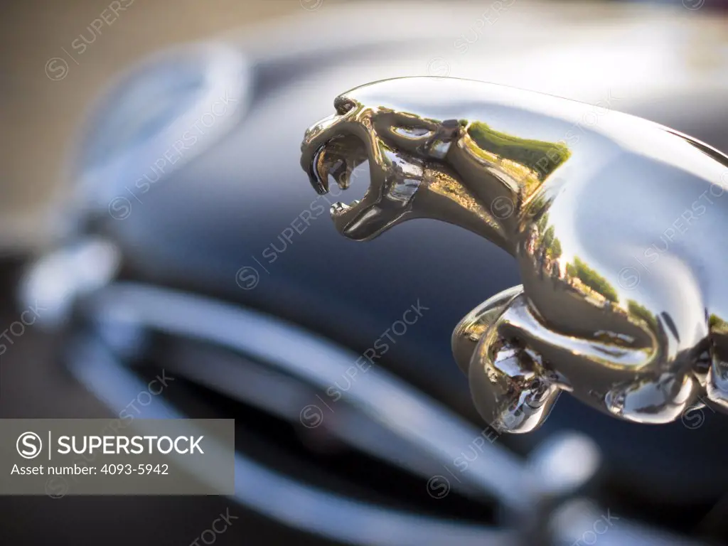 A close up detail shot of a Jaguar hood ornament