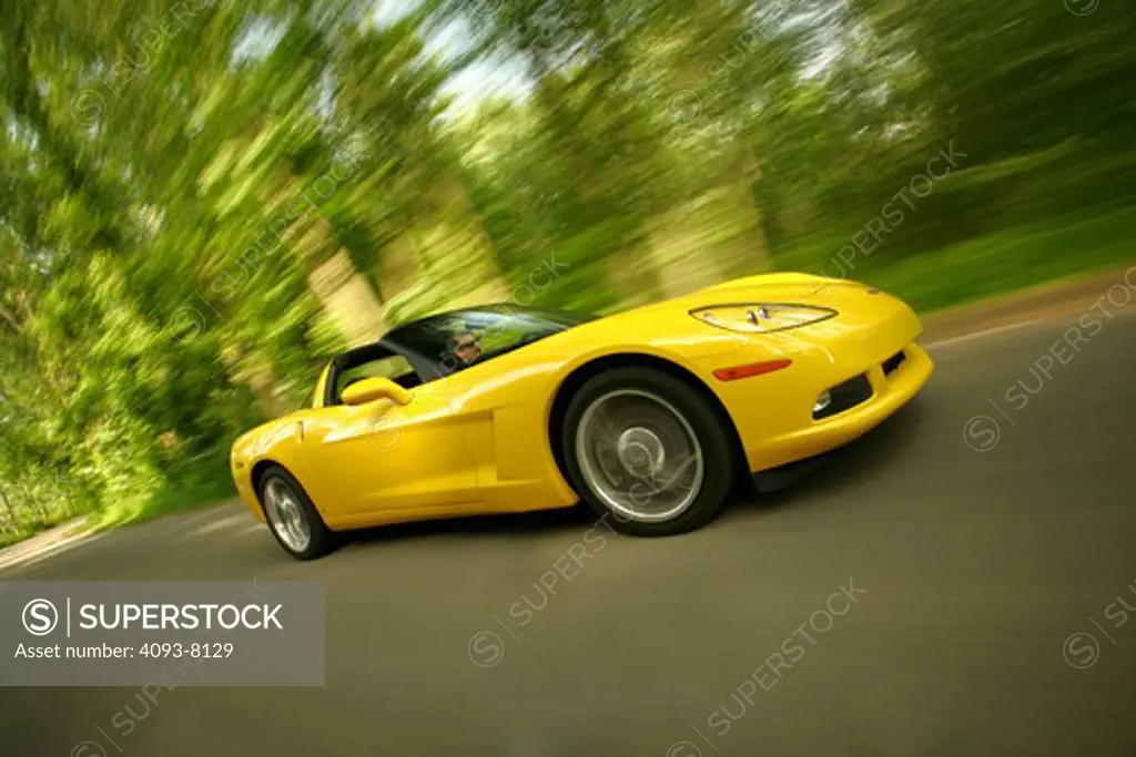 2008 Chevrolet Corvette Coupe on an empty road in the forest trees shrubs and foliage surround the road