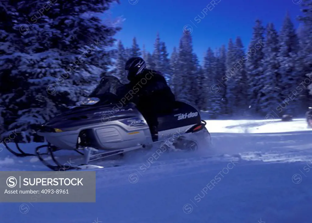 Bombardier Ski-doo snowmobile shade tree winter