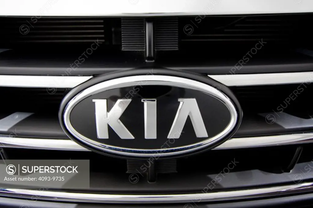 detailed view of KIA badge
