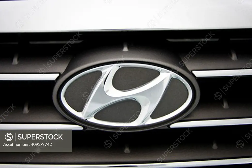 detailed view of Hyundai badge