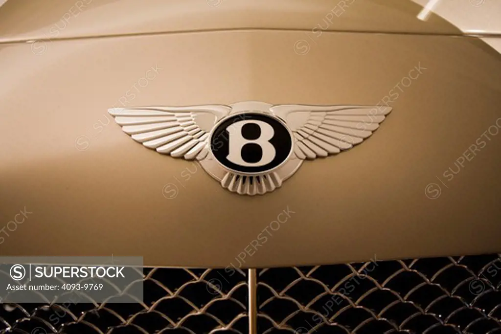 detailed view of Bentley badge