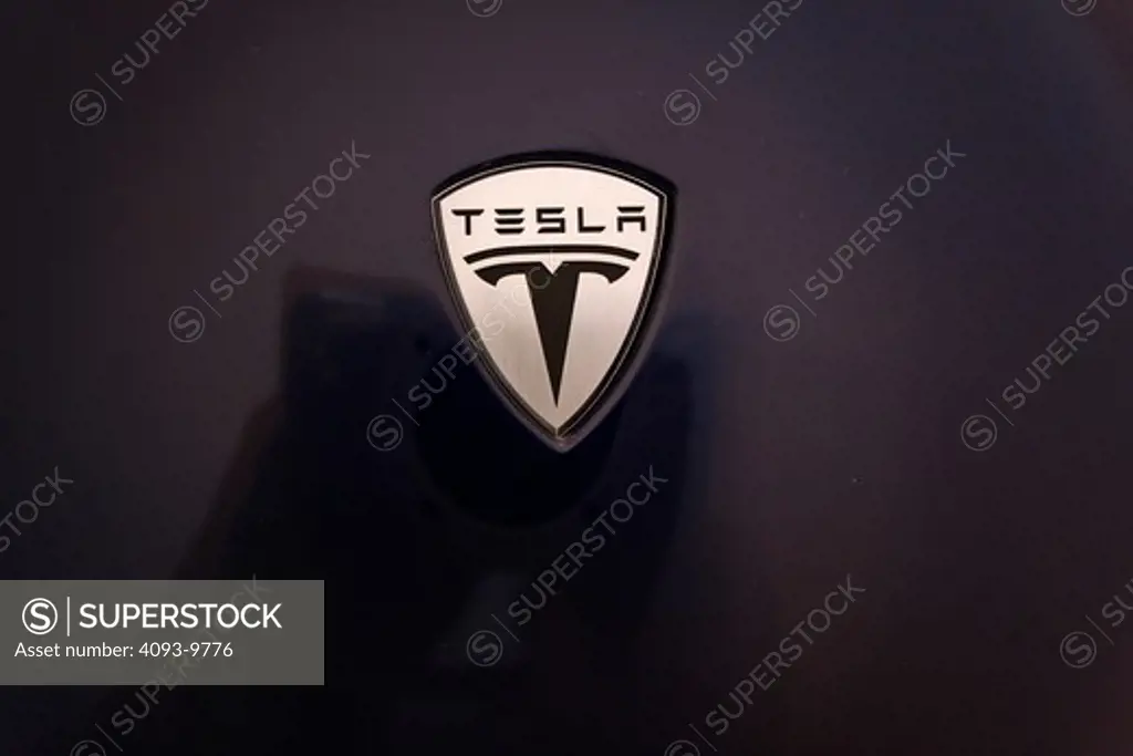 detailed view of Tesla badge