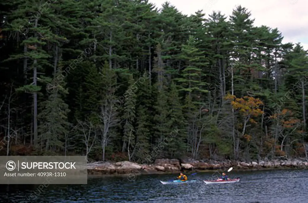 kayak touring Wilderness Systems Sealution paddling couple trees boat
