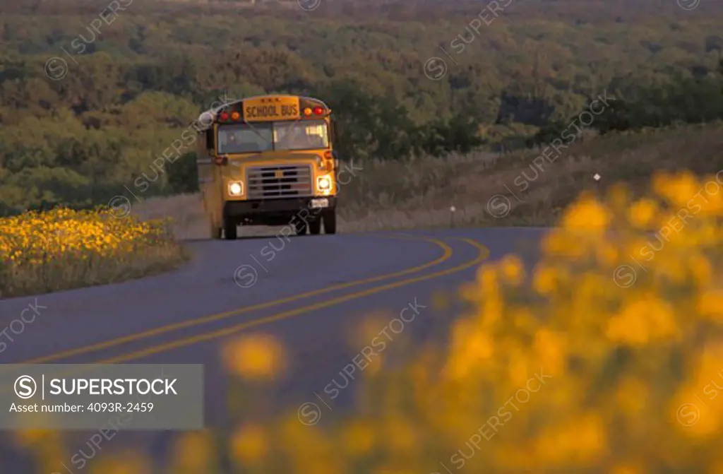 school bus curve wildflowers nostalgia street