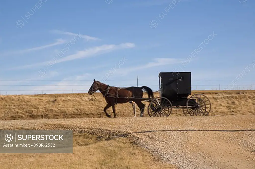 Amish horse and buggy on gravel road, southwest Wisconsin