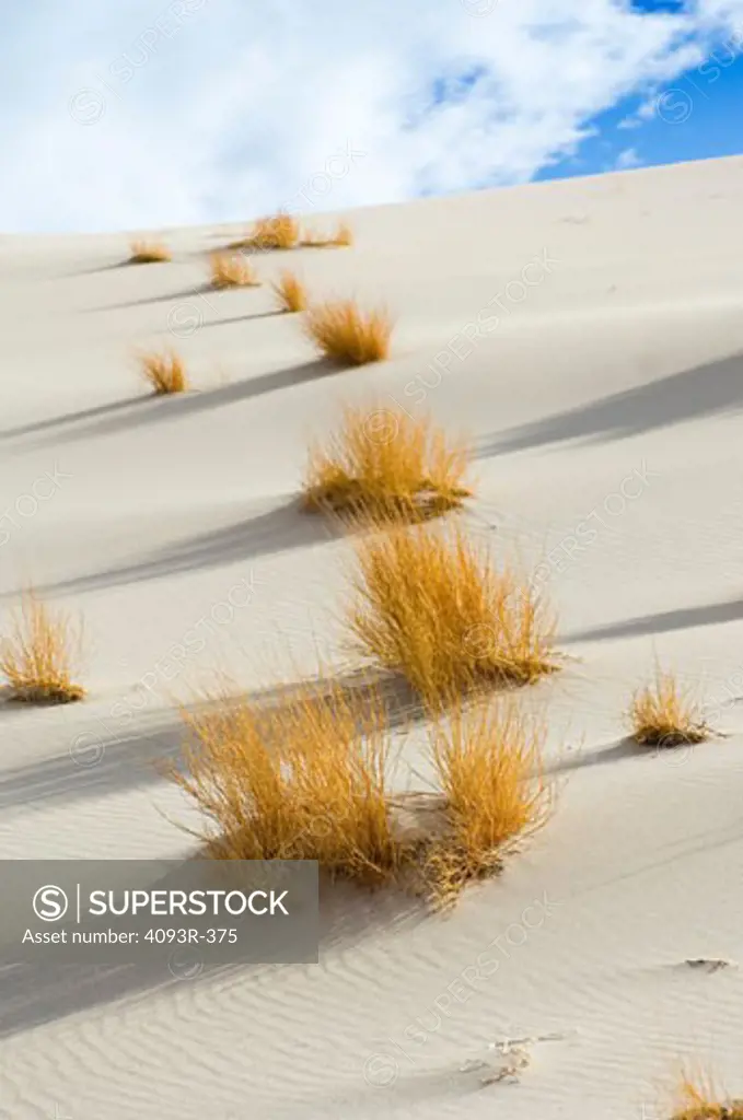 Desert scenic landscapes background