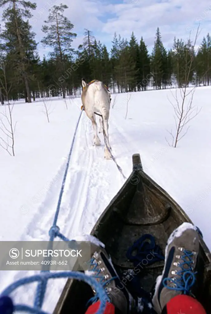 reindeer sled boots
