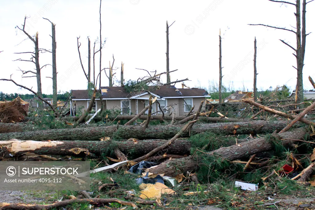 Homes and trees destroyed by storms, Limestone County, Alabama, USA