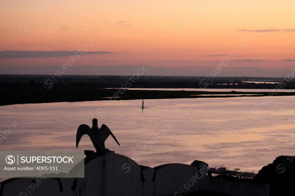 Brazil, Corumba, Silhouette of statue of bird on building and river at sunset