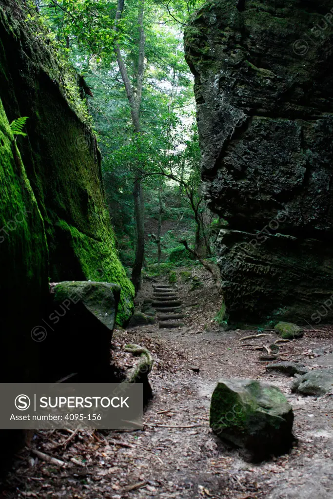 Path between the sandstone walls of a canyon, Dismals Canyon, Franklin County, Alabama, USA