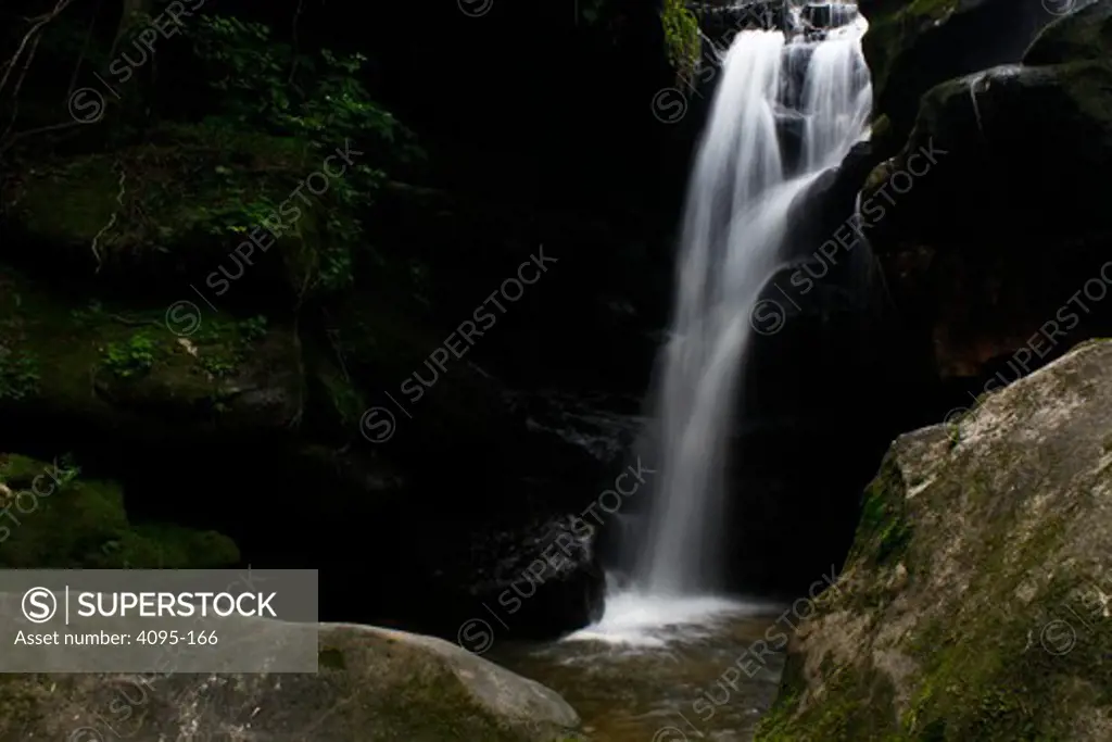 Waterfall in a forest, Rainbow Falls, Dismals Canyon, Franklin County, Alabama, USA