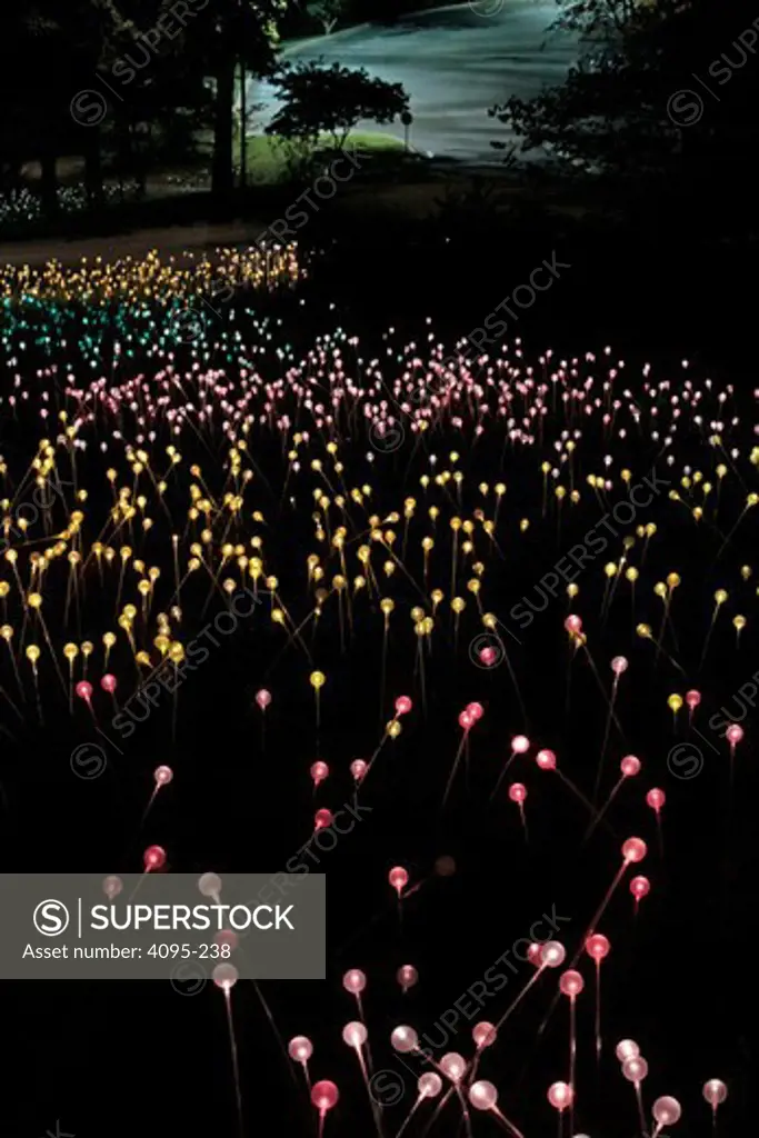 Field of colorful lights created by British artist Bruce Munro at Cheekwood Botanical Garden and Museum of Art, Nashville, Tennessee, USA