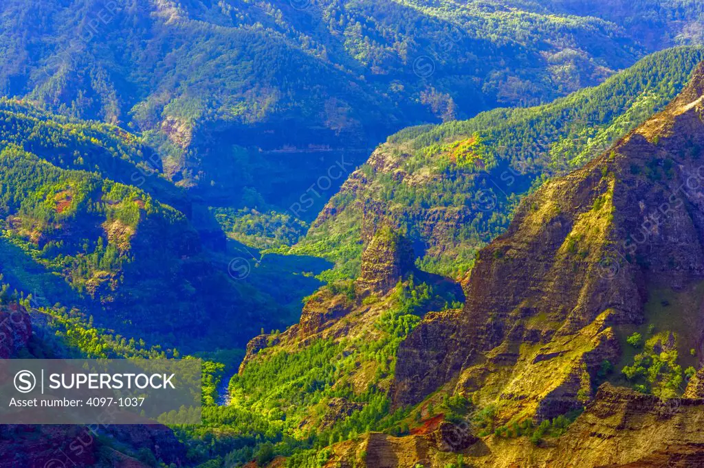 High angle view of a rainforest, Waimea Canyon, Kauai, Hawaii, USA