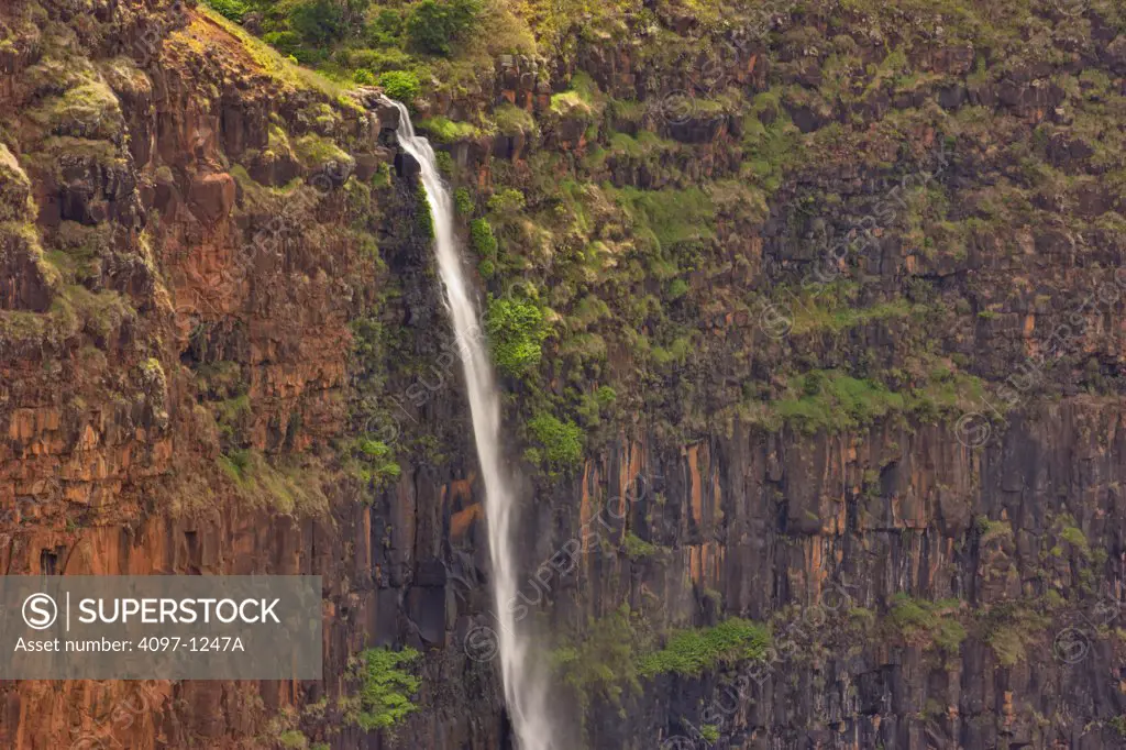 High angle view of a waterfall, Waipoo Falls, Waimea Canyon, Kauai, Hawaii, USA