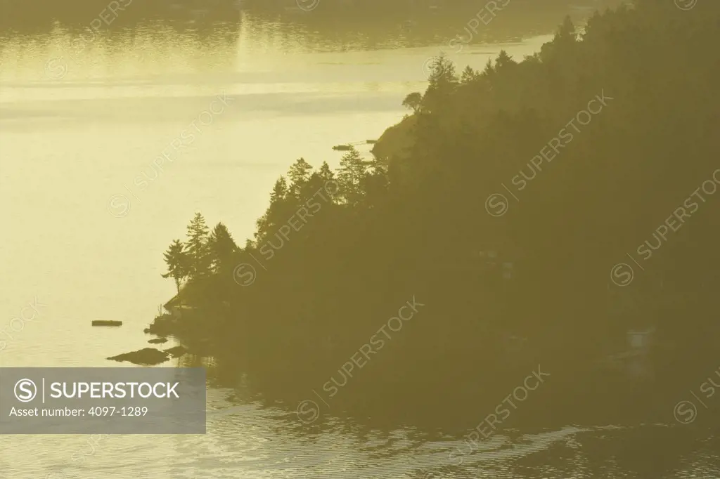 Trees at lakeside, Finlayson Arm, Saanich Peninsula, Vancouver Island, British Columbia, Canada