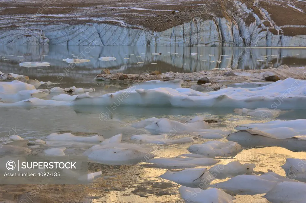 Icebergs floating on water, Angel Glacier, Jasper National Park, Alberta, Canada