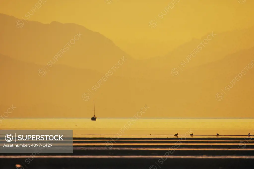 Sailboat in the ocean, Rathtrevor Beach Provincial Park, Parksville, Vancouver Island, British Columbia, Canada