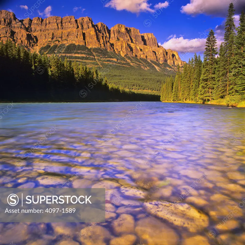 Stones in a river, Bow River, Castle Mountain, Banff National Park, Alberta, Canada