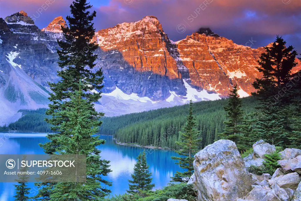 Trees at the lakeside, Valley of the Ten Peaks, Moraine Lake, Wenkchemna Range, Banff National Park, Alberta, Canada